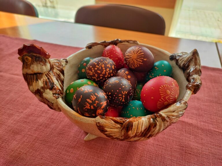 Šiaulių miesto savivaldybės globos namai